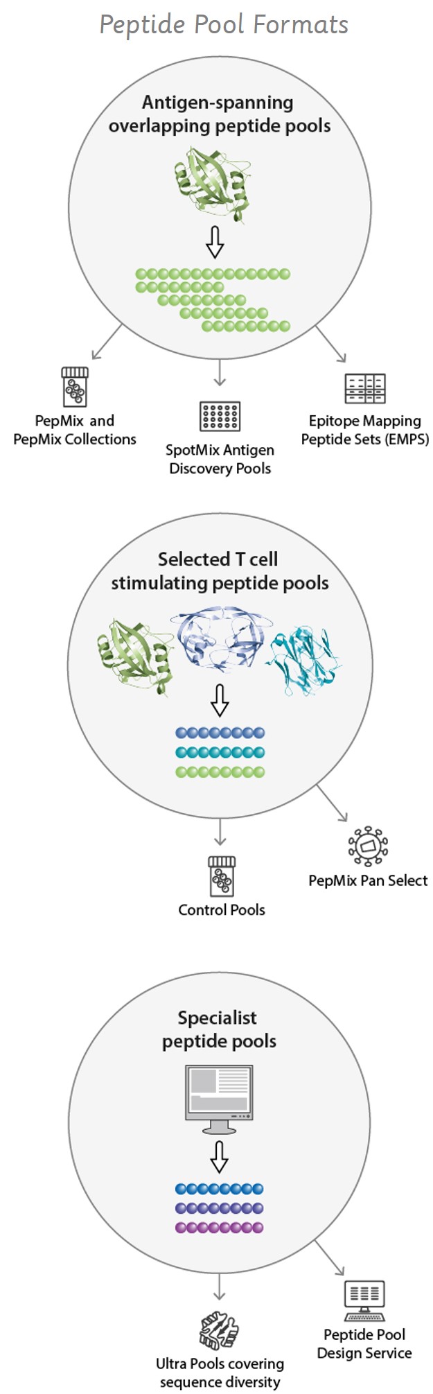 Overview of JPT's different PepMix Peptide Pool Layouts, e.g. Ultra Pool, Infectious Disease Pools, Control Pools etc.