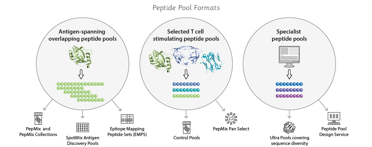 Overview of JPT's different PepMix Peptide Pool Layouts, e.g. Ultra Pool, Infectious Disease Pools, Control Pools etc.